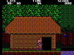 Danan - The Jungle Fighter Screenshot 1